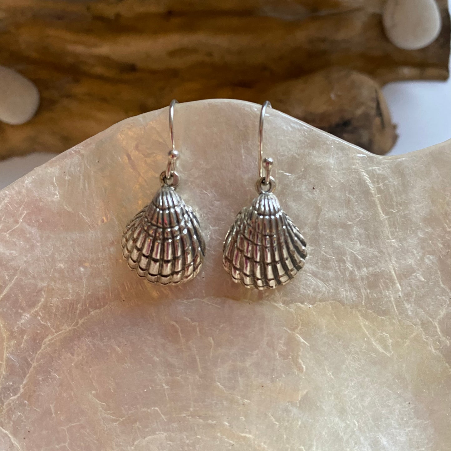 Sterling silver earrings - Clam